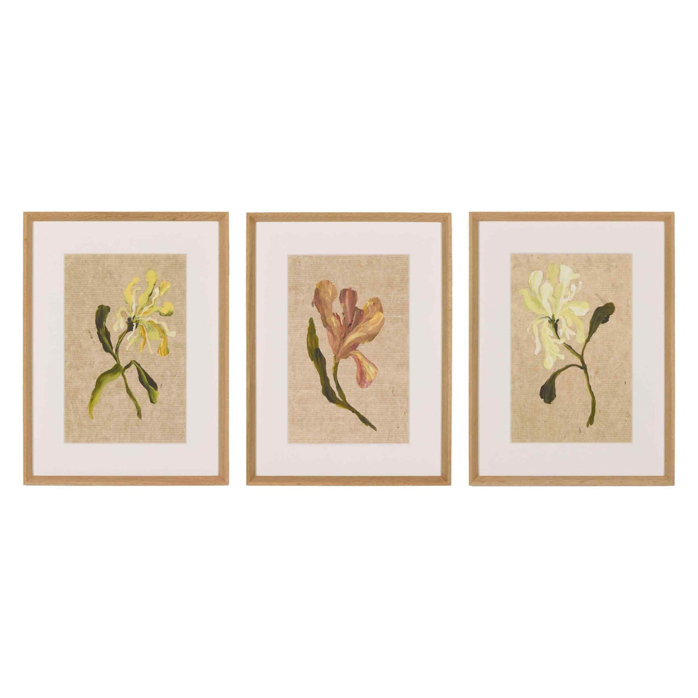 Blooms I Triptych by Brittney Schulz by Four Hands