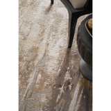 Feizy Rug Parker 3709F, Gray/Beige