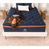 Brooklyn Bedding Aurora Luxe Cloud Cooling Pillowtop Mattress