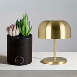 The Hidden Candle-Succulent & Candle-High Fashion Home