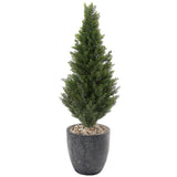 4.5' Cedar Topiary in Hudson Planter, Grey
