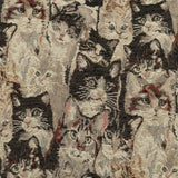 Cat's Meow Pillow, Multi, Set of 2