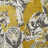 Suma Pillow, Dijon
