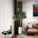 5.5' Fiddle Leaf Fig in Quinn Planter, White