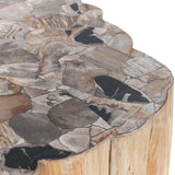 Norwest Petrified Wood Coffee Table, Natural-High Fashion Home