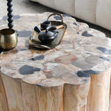 Norwest Petrified Wood Coffee Table, Natural-High Fashion Home