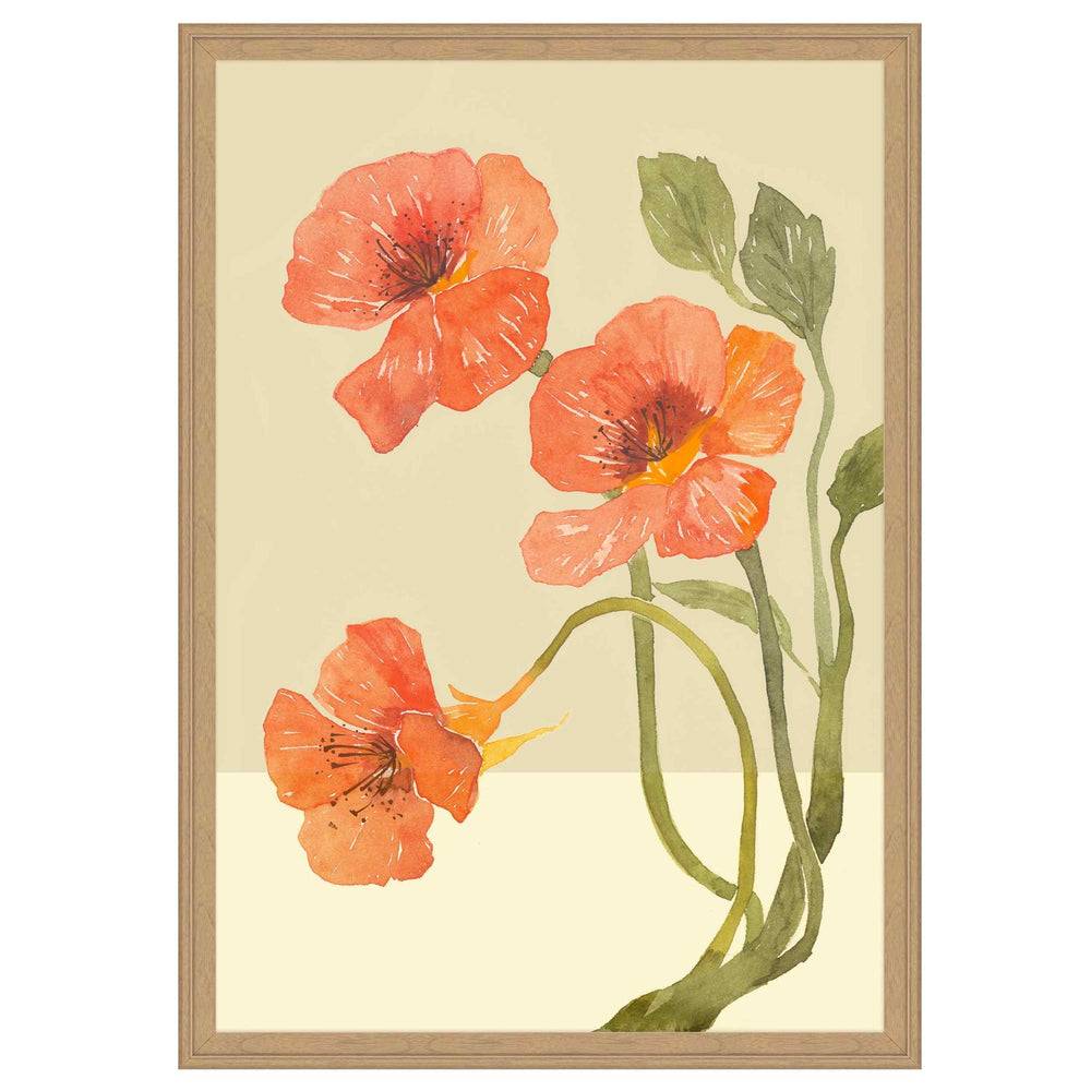 Variety in Bloom VI Framed