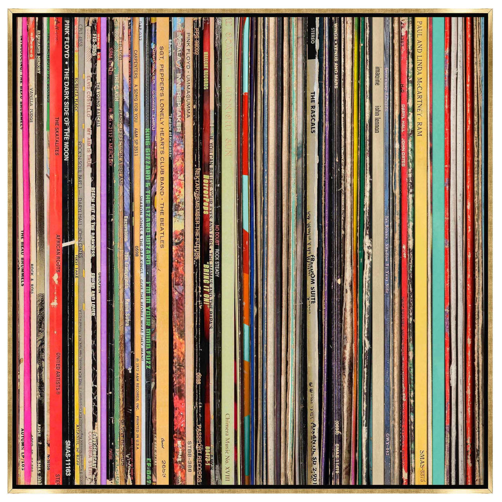 The Vinyl Archive II Framed
