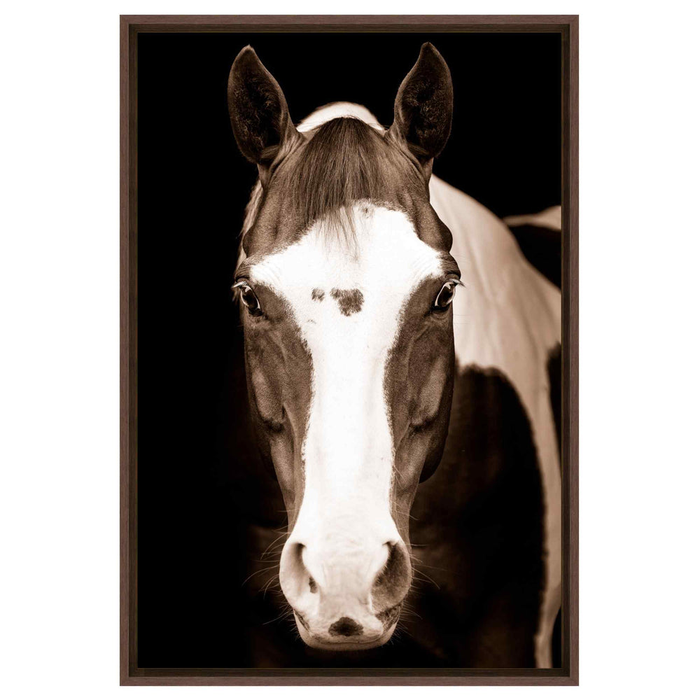 Blue Eye Horse Framed, Walnut Float Haven