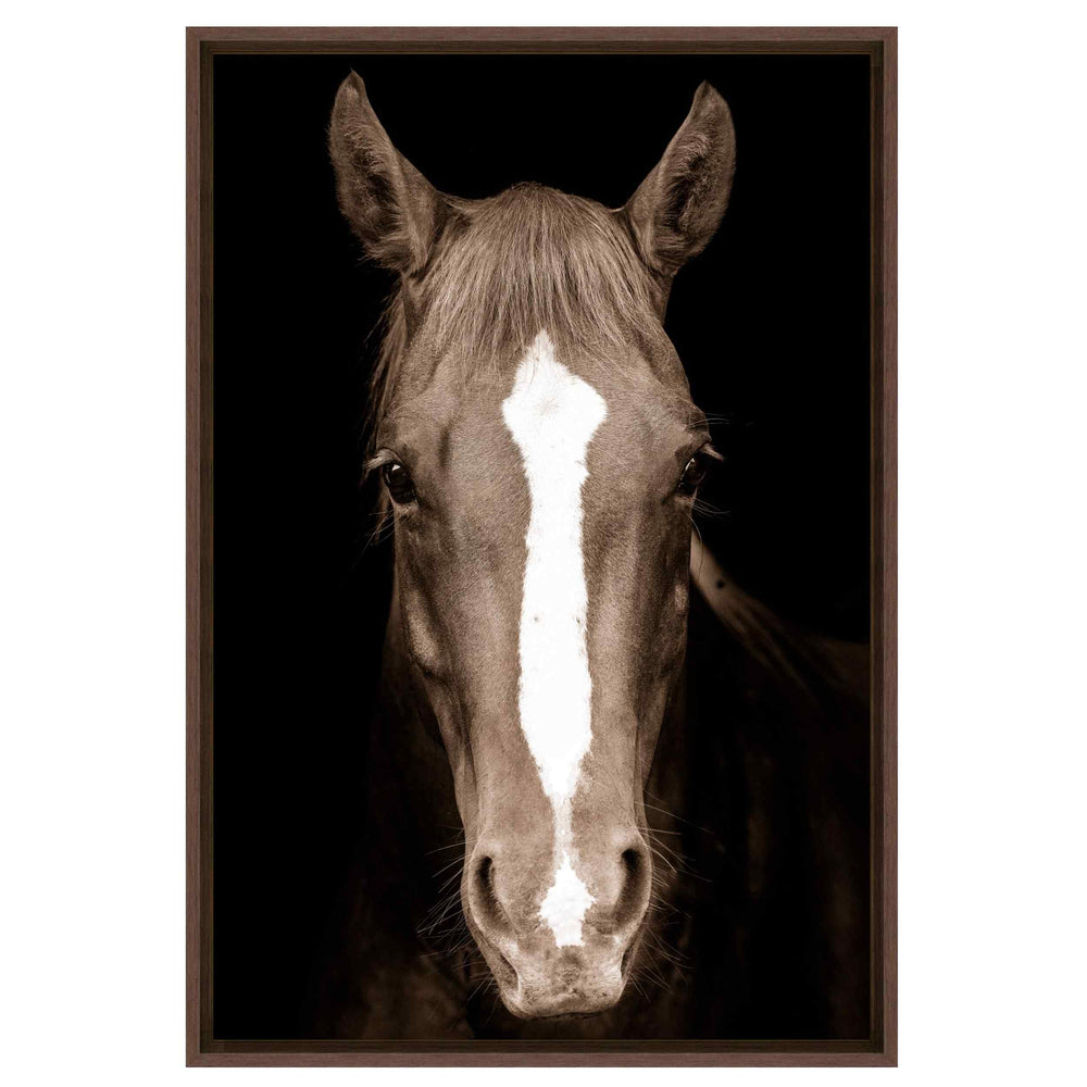 Brown Horse Framed, Walnut Float Haven
