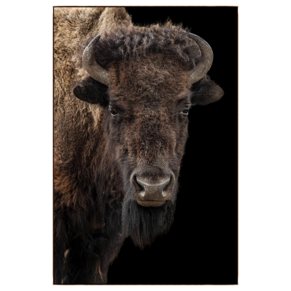 Buffalo on Black III Framed