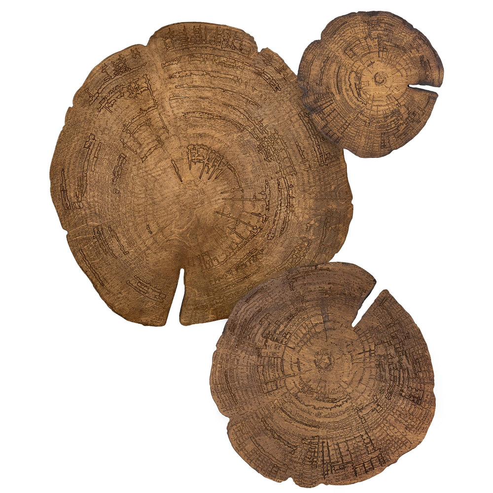 Embers of Growth V, Natural, Set of 3-Accessories Artwork-High Fashion Home