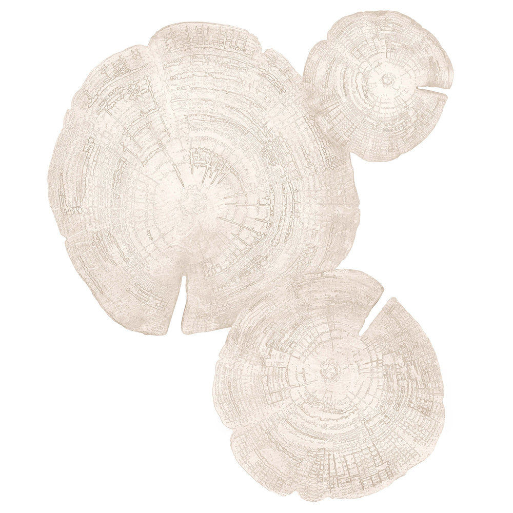 Embers of Growth V, White Wash, Set of 3-Accessories Artwork-High Fashion Home