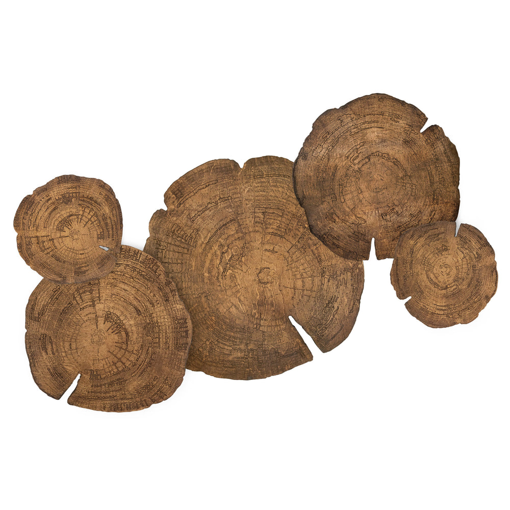Embers of Growth VI, Natural, Set of 5-Accessories Artwork-High Fashion Home