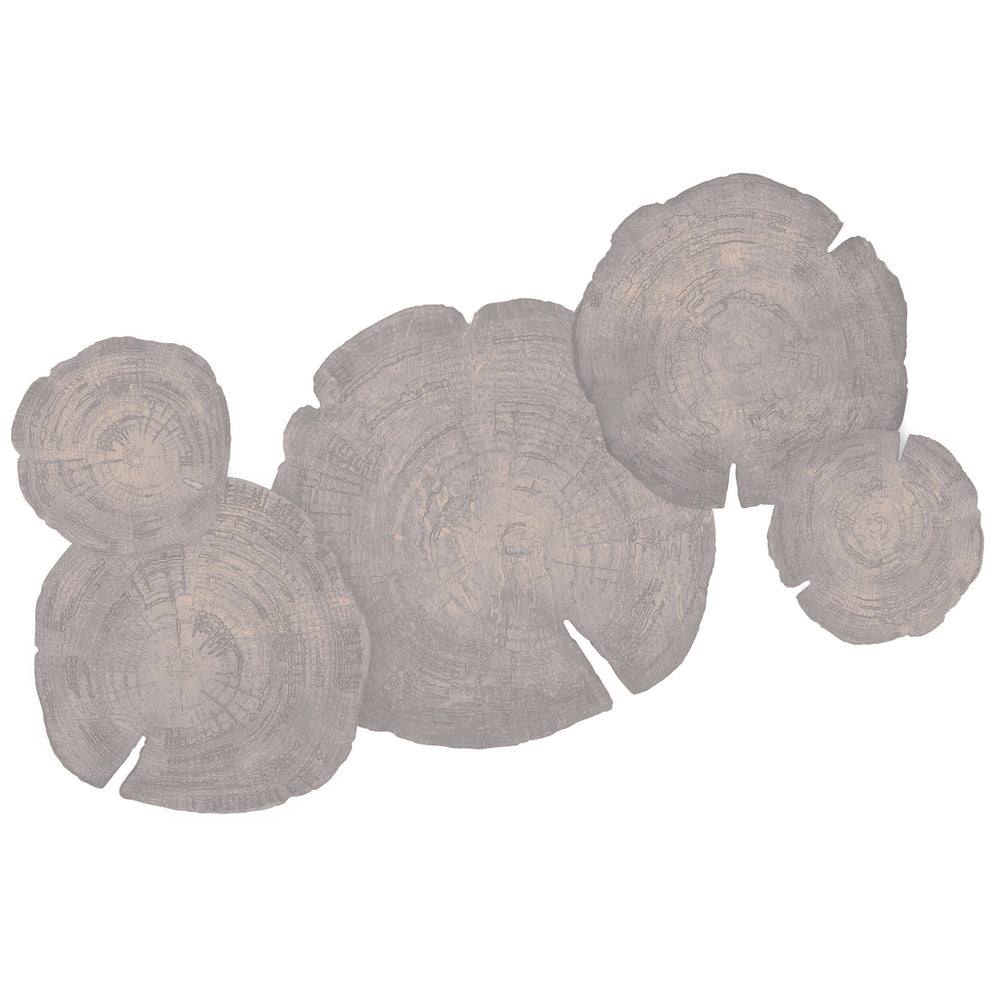 Embers of Growth VI, Grey, Set of 5-Accessories Artwork-High Fashion Home