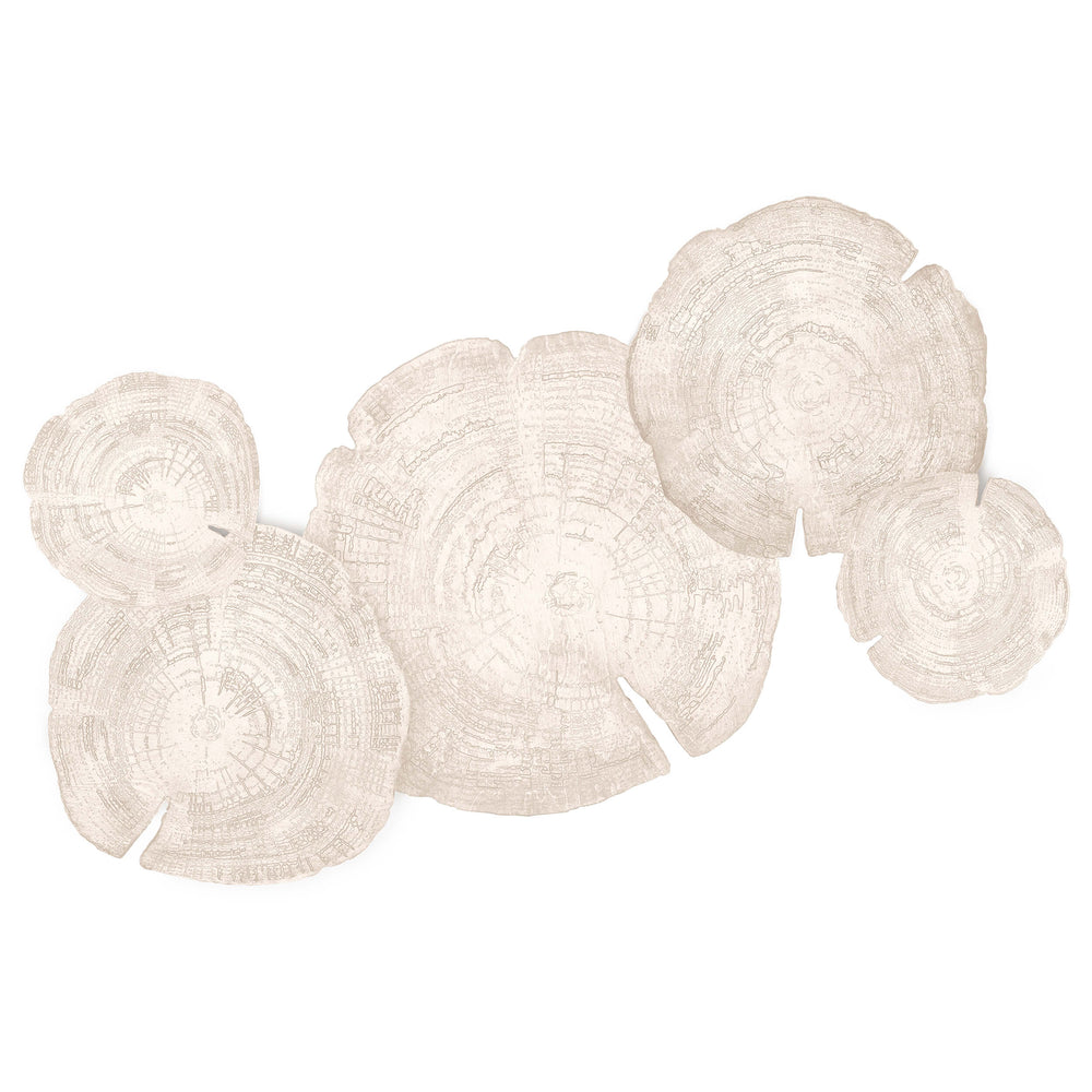Embers of Growth VI, White Wash, Set of 5-Accessories Artwork-High Fashion Home