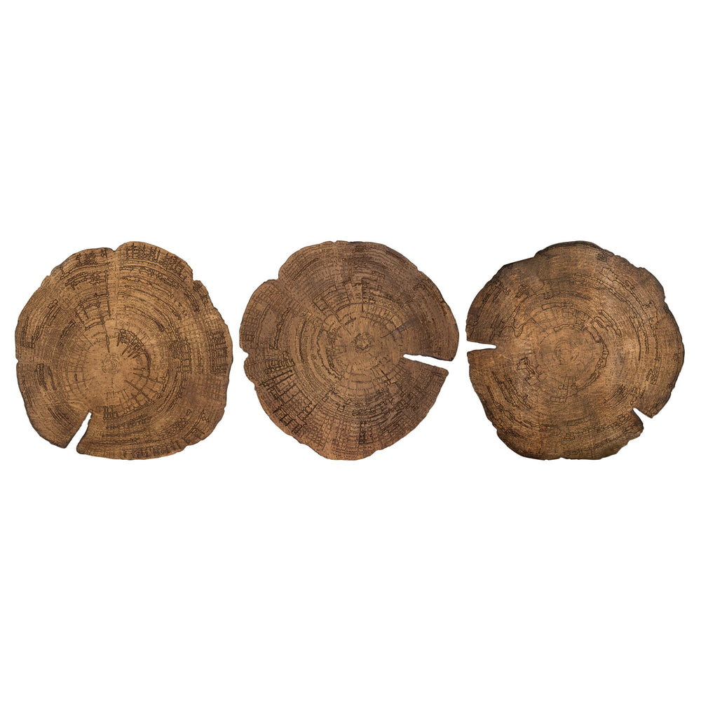 Embers of Growth VII, Natural, Set of 3-Accessories Artwork-High Fashion Home