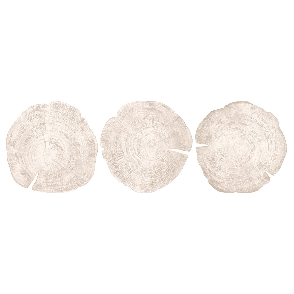 Embers of Growth VII, White Wash, Set of 3-Accessories Artwork-High Fashion Home