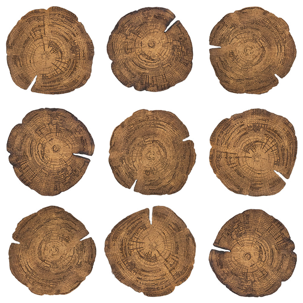 Embers of Growth VIII, Natural, Set of 9-Accessories Artwork-High Fashion Home