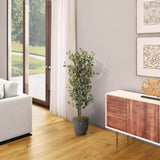 5' Eucalyptus Tree in Sawyer Planter, Black