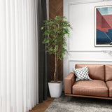 6' Ruscus Tree in Cardinal Planter, White