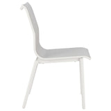 Naji Dining Chair, Gray, Set of 2