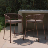 Skye Barstool, Brown