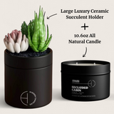 The Hidden Candle-Succulent & Candle-High Fashion Home