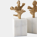 Coral Sculptures, Brass, Set of 2