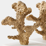 Coral Sculptures, Brass, Set of 2