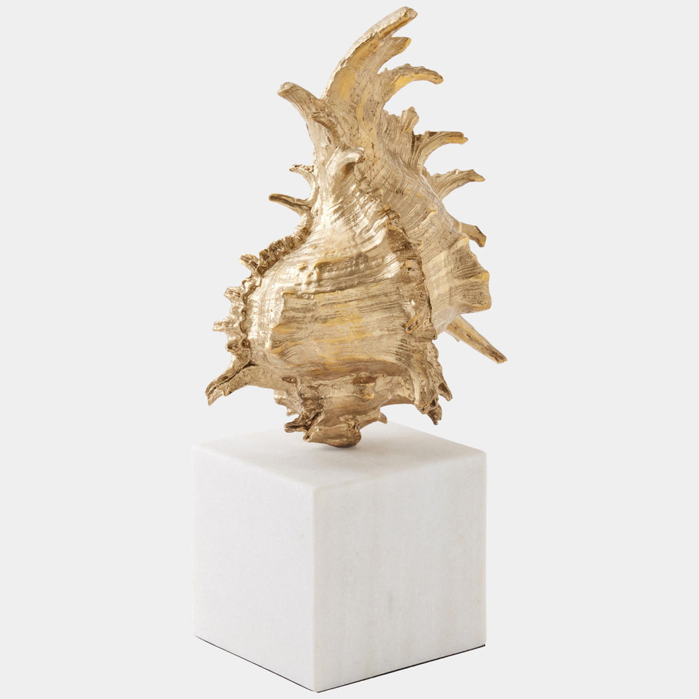 Spider Conch Shell Sculpture, Brass