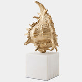 Spider Conch Shell Sculpture, Brass