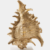 Spider Conch Shell Sculpture, Brass