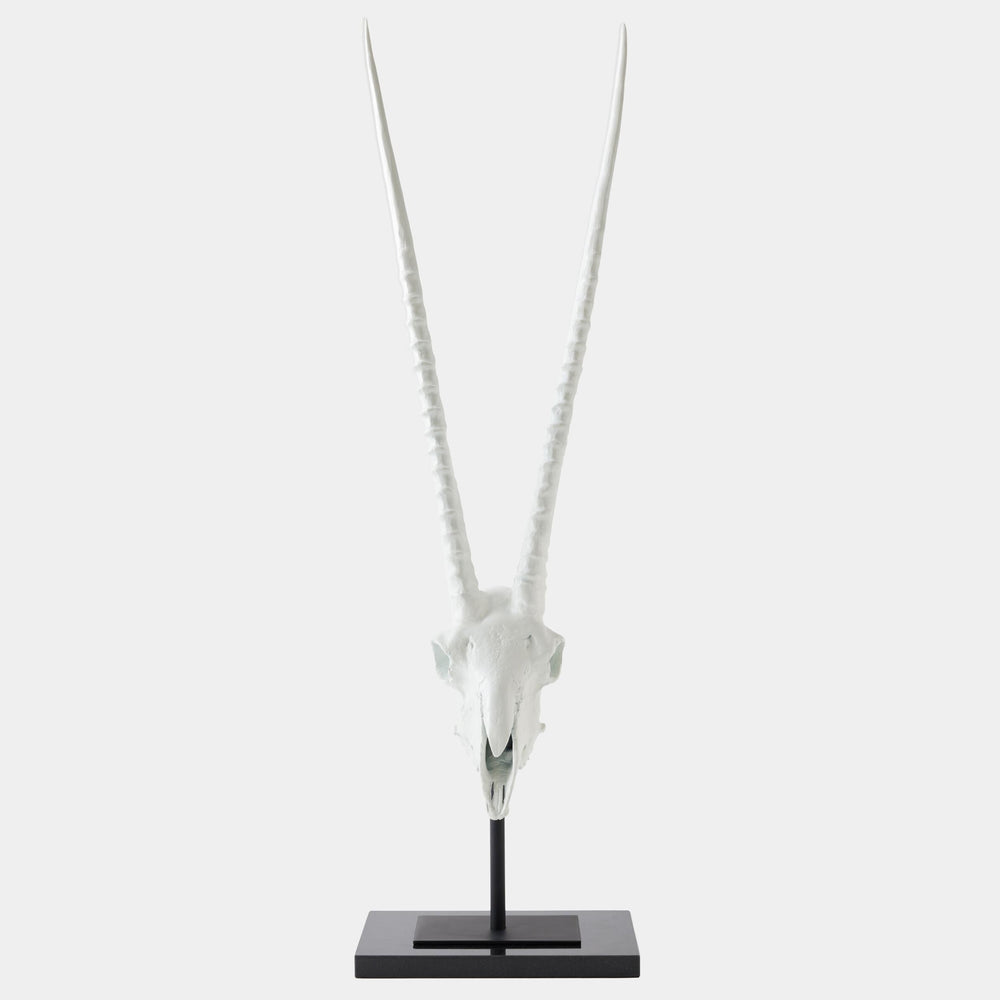 Gemsbok Skull Sculpture, Matte White