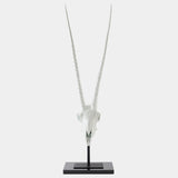 Gemsbok Skull Sculpture, Matte White