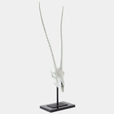 Gemsbok Skull Sculpture, Matte White