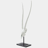 Gemsbok Skull Sculpture, Matte White