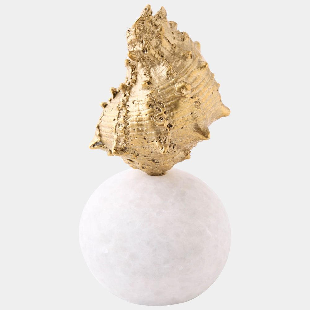 Kings Crown Shell Sculpture, Gold/White