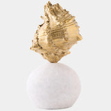 Kings Crown Shell Sculpture, Gold/White
