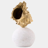 Kings Crown Shell Sculpture, Gold/White