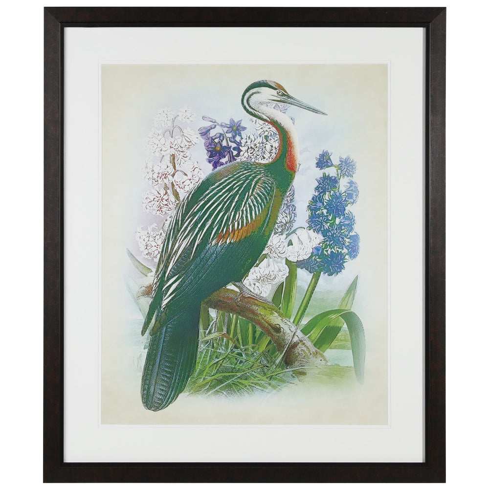 Anhinga Harmoney Framed