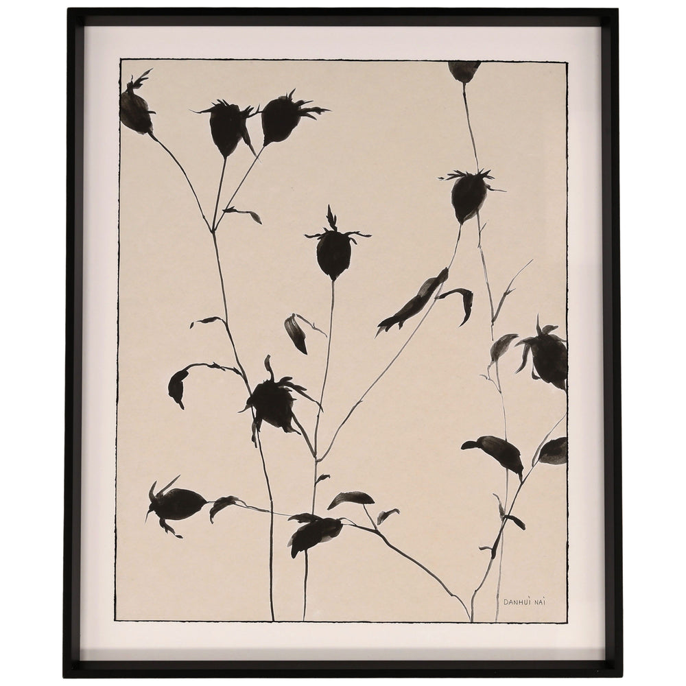 Botanical Shadows II Framed