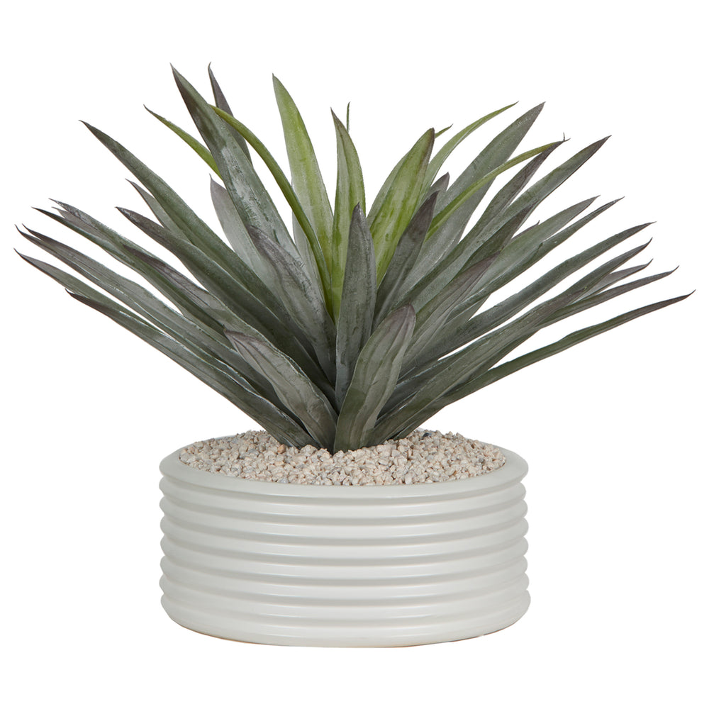 Agave in Armonica Planter, White-Accessories-High Fashion Home