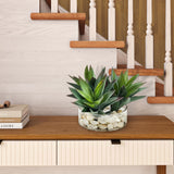 Aloe Plants in Glass Bowl, Clear-Accessories-High Fashion Home