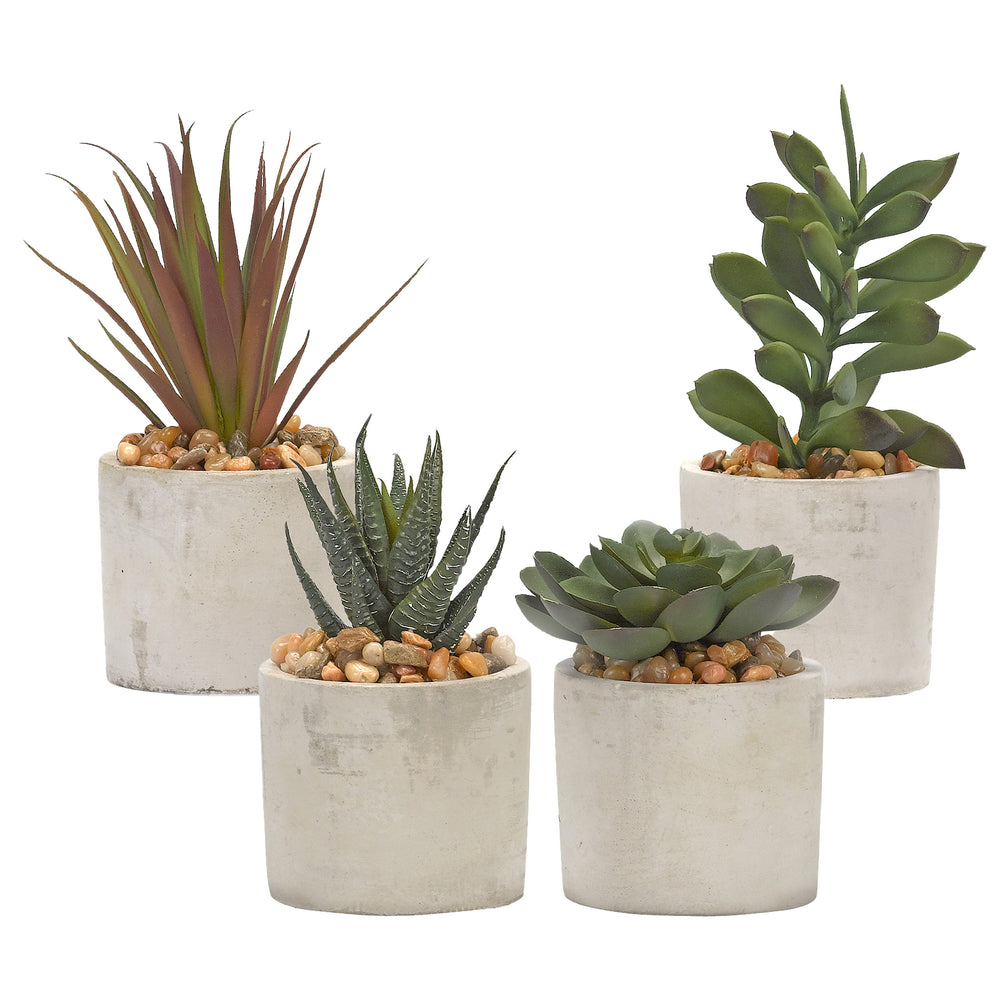 Aloe, Echeveria, Jade and Succulents in Mini Cement Cylinders, Grey, Set of 4-Accessories-High Fashion Home