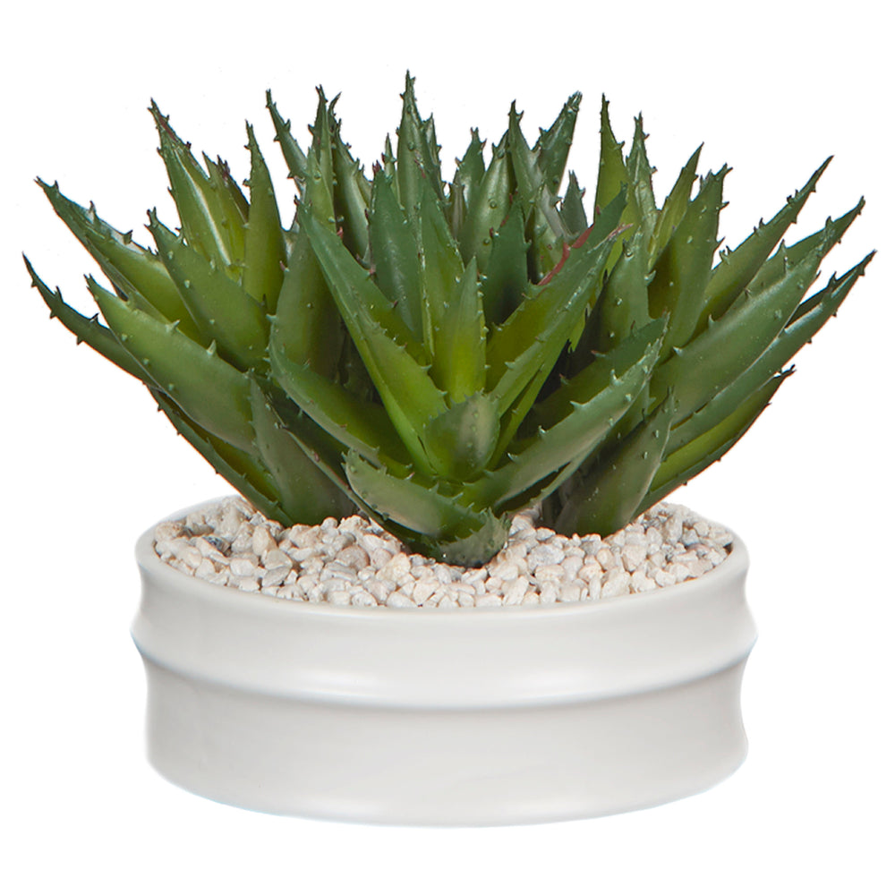 Aloe in Small Dollop Planter, White-Accessories-High Fashion Home