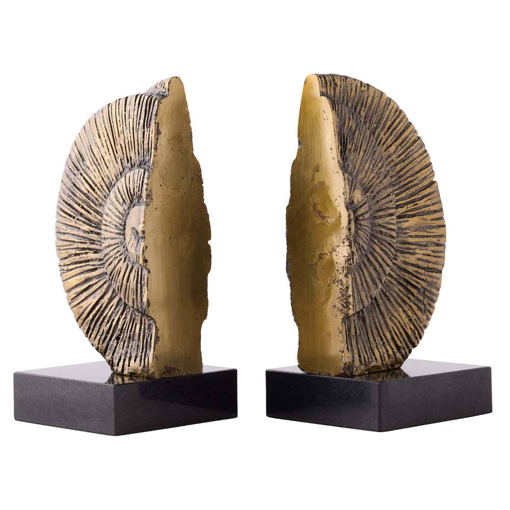 Ammonite Shell Bookends, Dark Gold