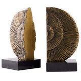 Ammonite Shell Bookends, Dark Gold