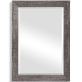Anton Mirror, Silver