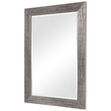 Anton Mirror, Silver